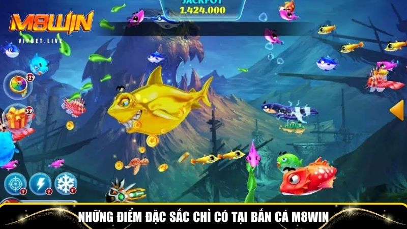 Sân chơi với nhiều điểm đặc sắc