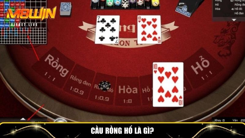 Khái niệm cầu rồng hổ