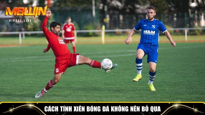 Chi tiết cách tính xiên bóng đá không nên bỏ qua