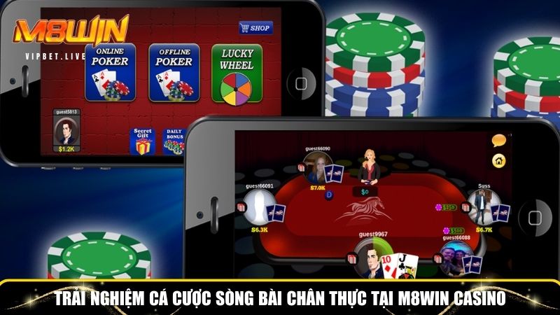M8WIN casino đem đến những trải nghiệm sòng bài đẳng cấp, chân thực